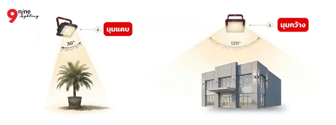 องศาการกระจายแสง สปอร์ตไลท์